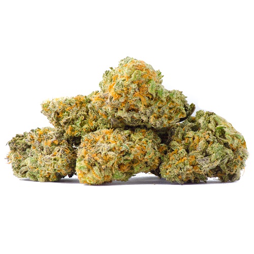 Hawaiian Skunk Hawaiian Skunk