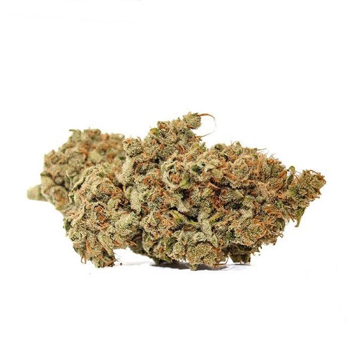Ghost Train Haze Ghost Train Haze