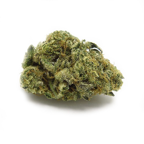 Girl Scout Cookies strain Girl Scout Cookies strain