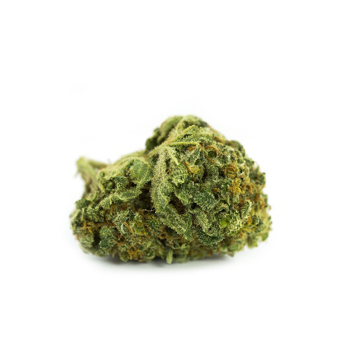 Grape GOD Grape GOD