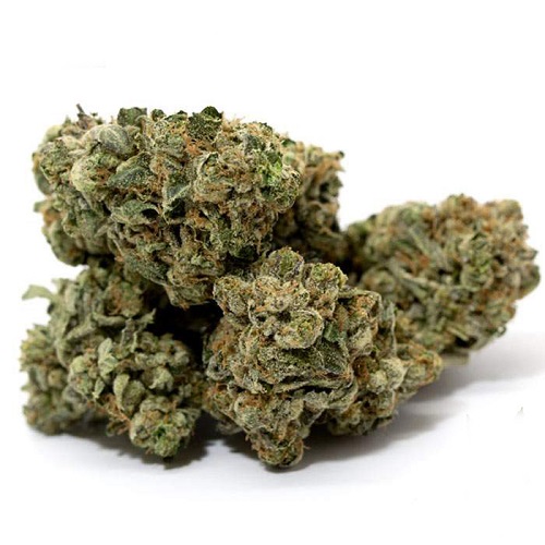 Master Kush Master Kush