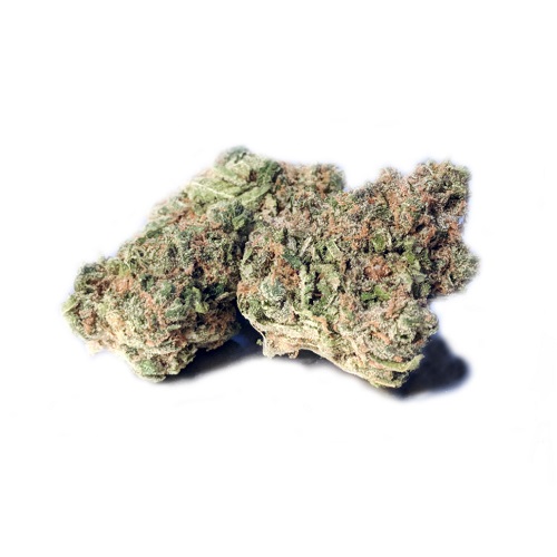 Platinum GSC Platinum GSC