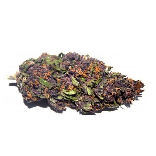 Purple Haze Purple Haze